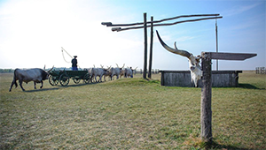 debrecen_koruli_kirandulasok